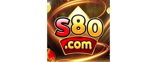 s80 link slot s 80